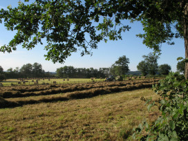 31 juillet 2007 368
