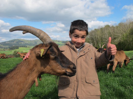 Visite à la ferme : Activités à faire avec enfants, petits enfants