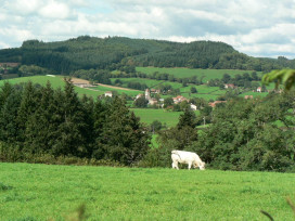 Vue chatenay