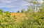 Crédits photo : Gîtes de France / les Jardins d'Helix