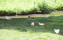 Crédits photo : Gîtes de France / Le Moulin