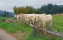 Crédits photo : Gîtes de France / le Coq en Bois