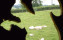 Crédits photo : C. Prévost 