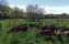 Crédits photo : H. Ducotey