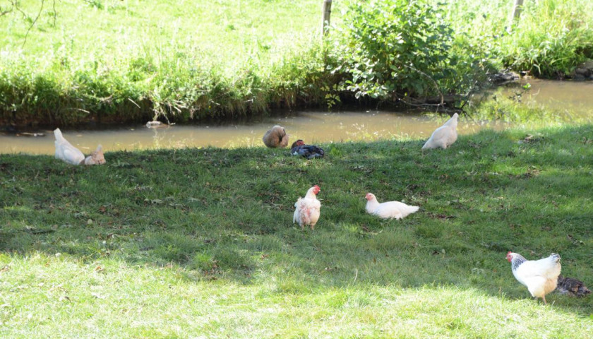 Crédits photo : Gîtes de France / Le Moulin