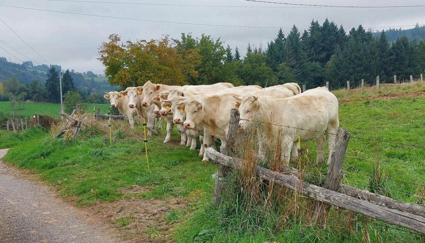 Crédits photo : Gîtes de France / le Coq en Bois