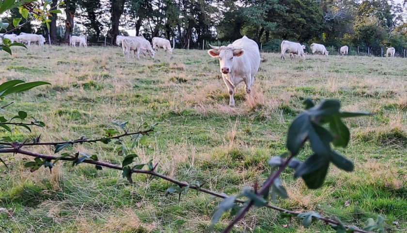 Crédits photo : Gîtes de France / Les Tilleuls de Marie