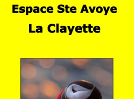 Exposition photo-club du Brionnais - Les Capteurs D'Motions