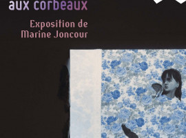 Exposition "Ouvrir sa fenêtre aux corbeaux", Marine Joncour