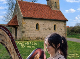 Concert de Harpe