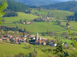 31ème marche des Sapins