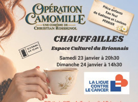 Théâtre Opération camomille