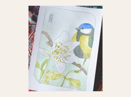 Atelier aquarelle « Hellébore et mésange »