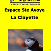 Exposition photo-club du Brionnais - Les Capteurs D'Motions