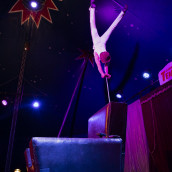 Spectacle "Vie de cirque"