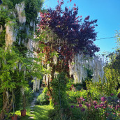 Jardins & Santé : portes ouvertes de jardins privés