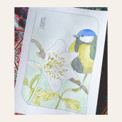 Atelier aquarelle « Hellébore et mésange »
