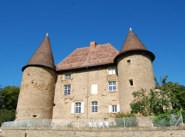 Château de Barnay